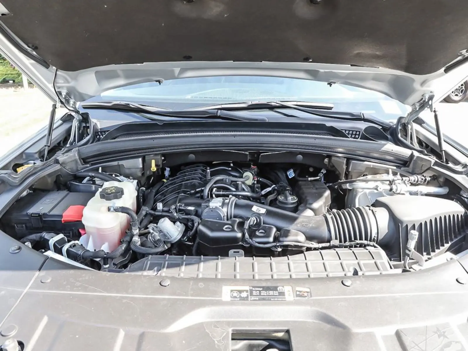 image-7