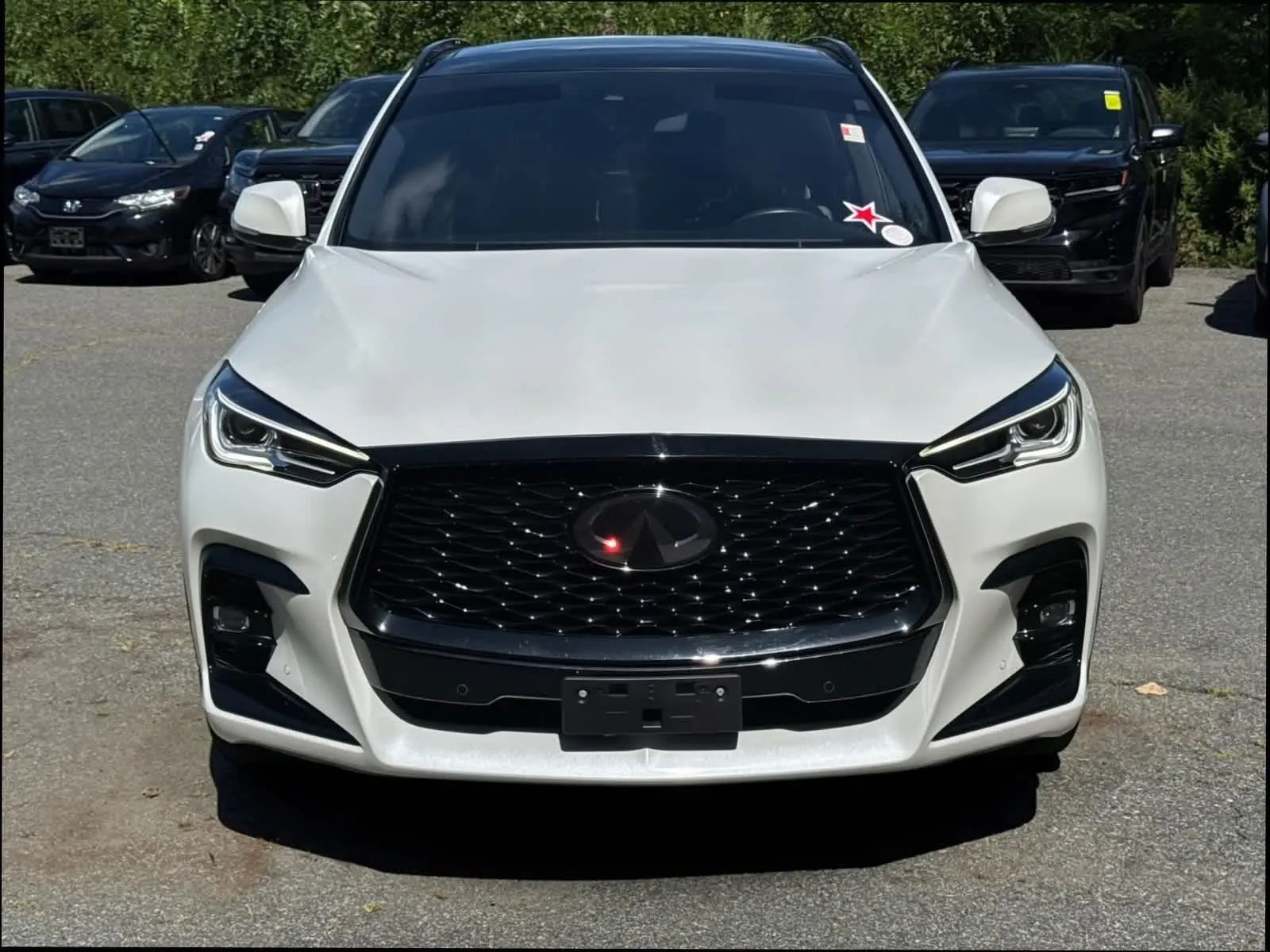 2024 Infiniti QX50 SPORT photo 41