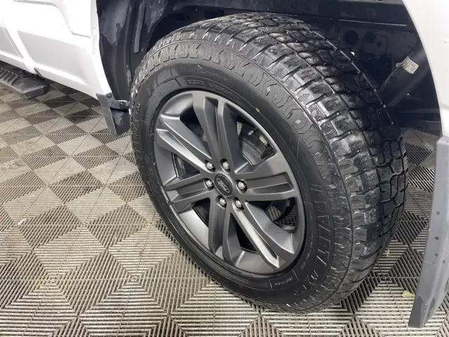 image-7