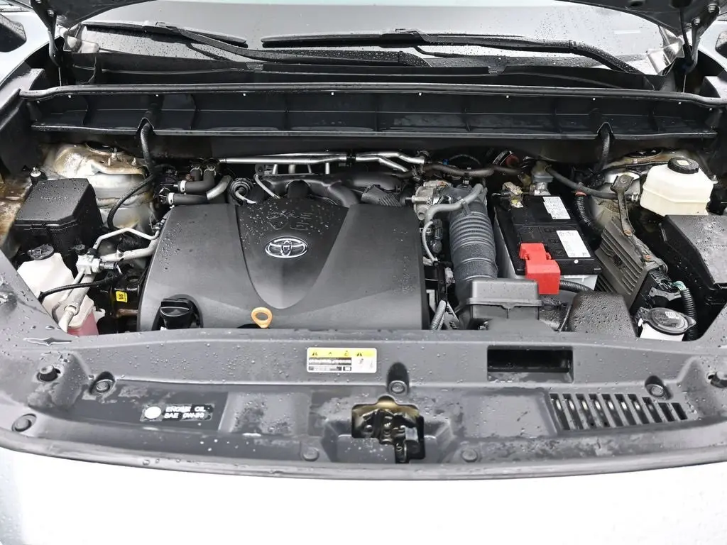 image-19