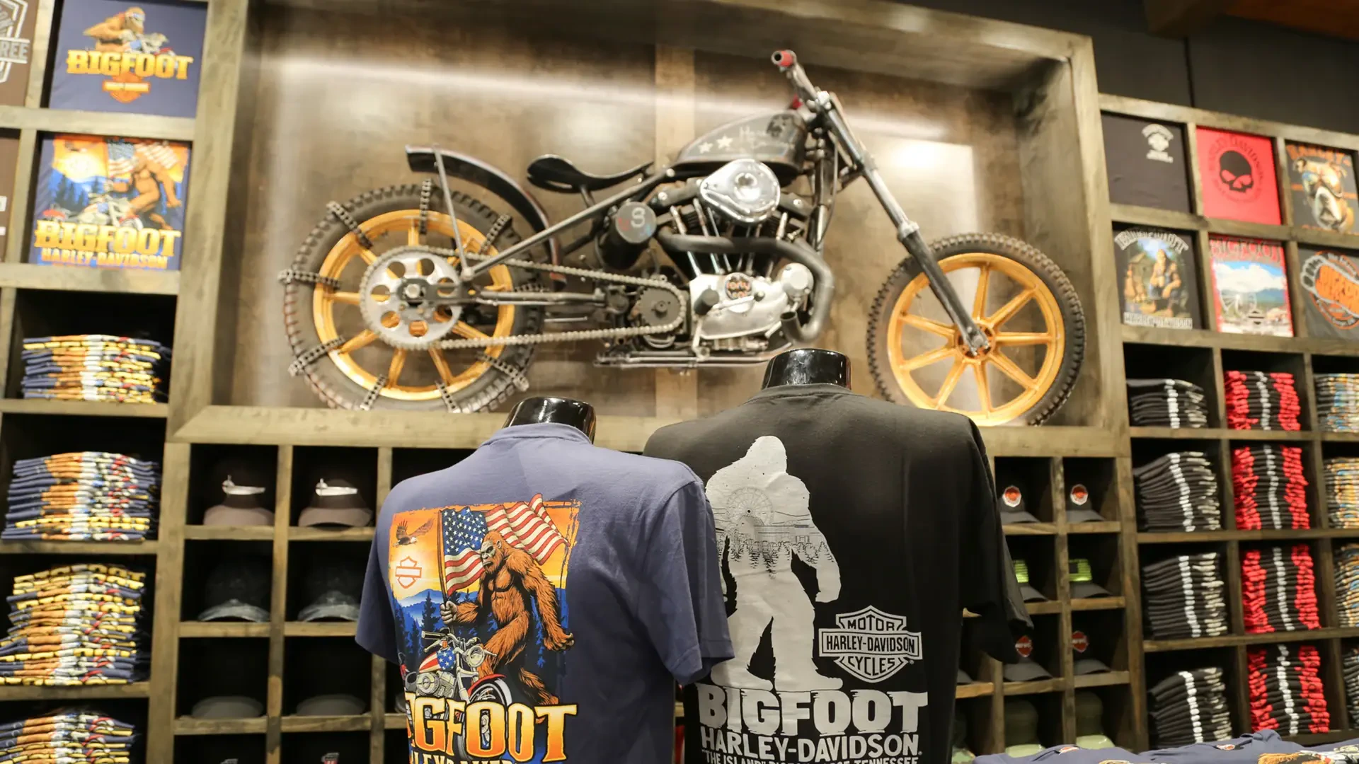 The Island location photo