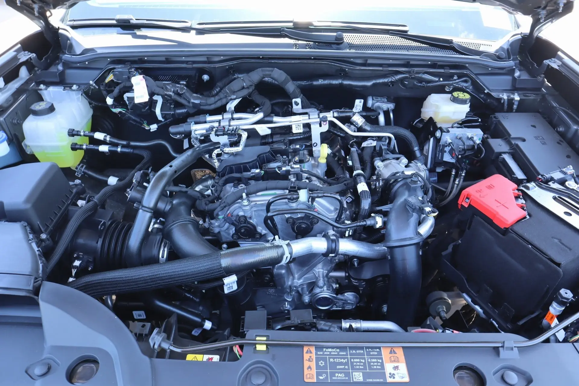 image-19