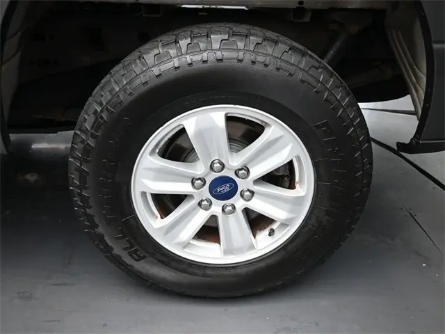 image-19