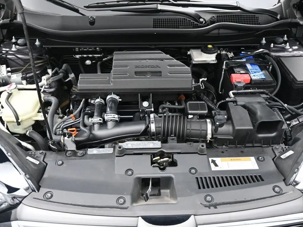 image-19