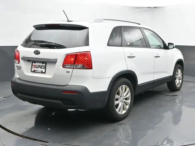 image-7