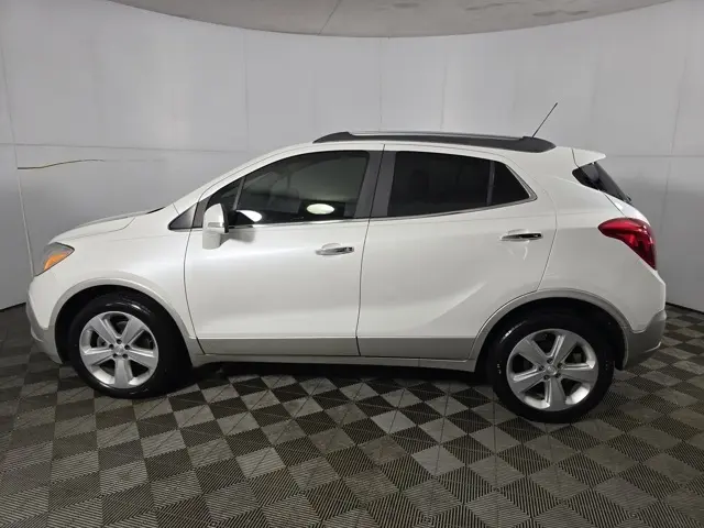 image-7