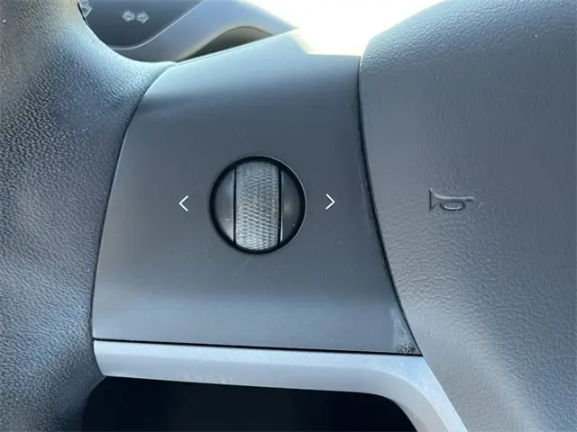 2020 Tesla Model 3 photo 11