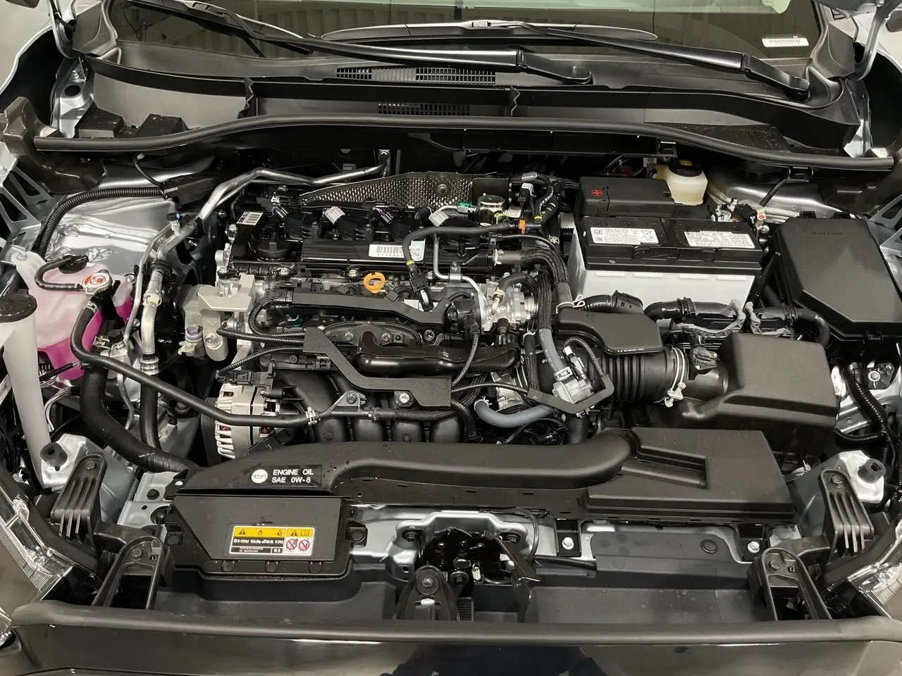 image-19