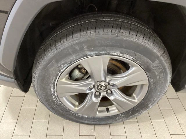 image-19