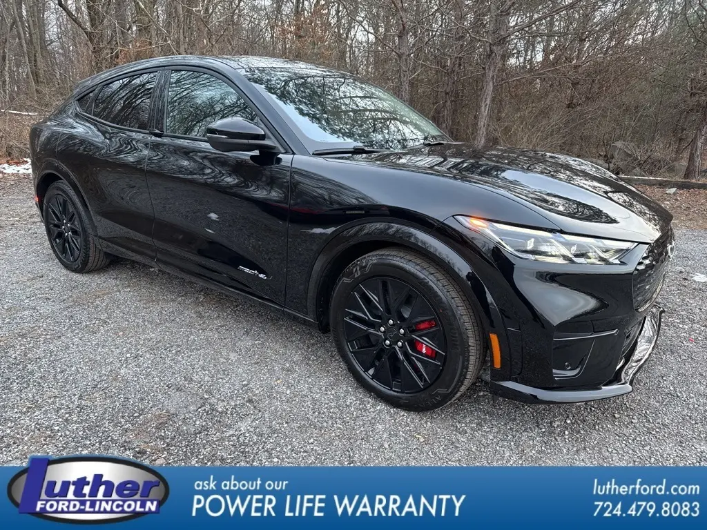 2025 Ford Mustang Mach-E Premium AWD's photo