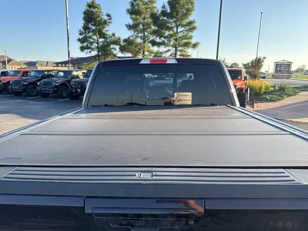 2019 Ford F-150 King Ranch photo 8