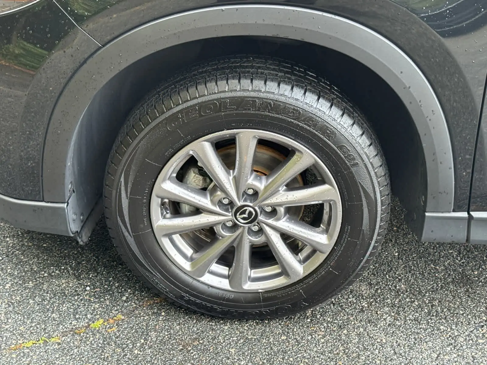 image-10