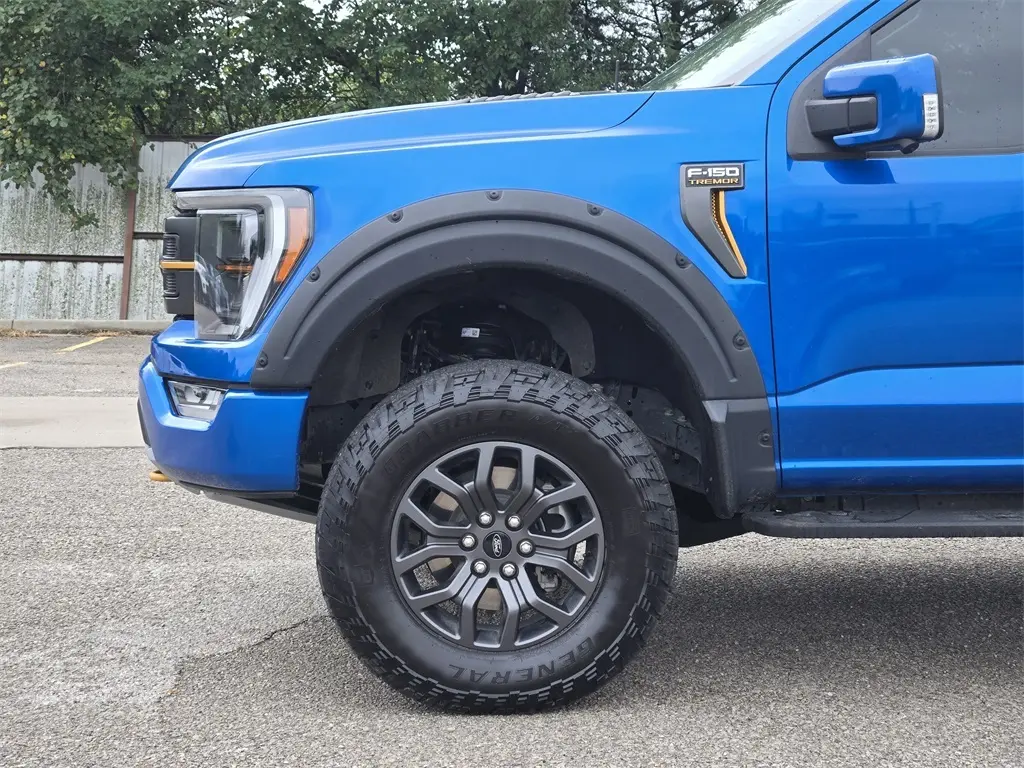 2021 Ford F-150 photo 8