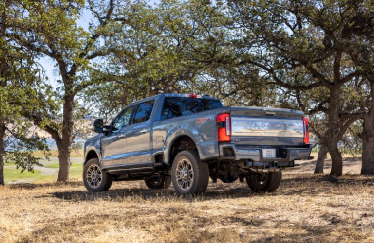 Gray 2023 Ford Super Duty Rear Exterior