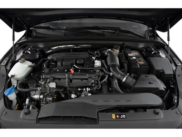 image-14