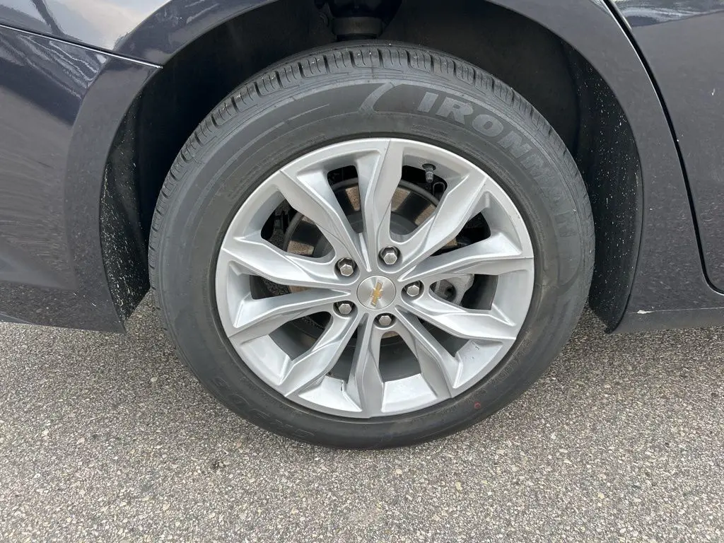 image-11