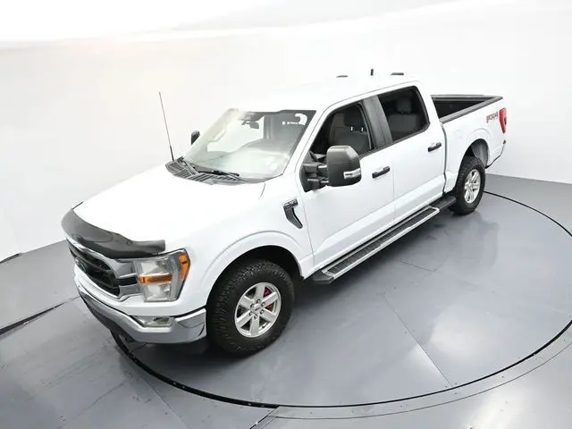 image-19