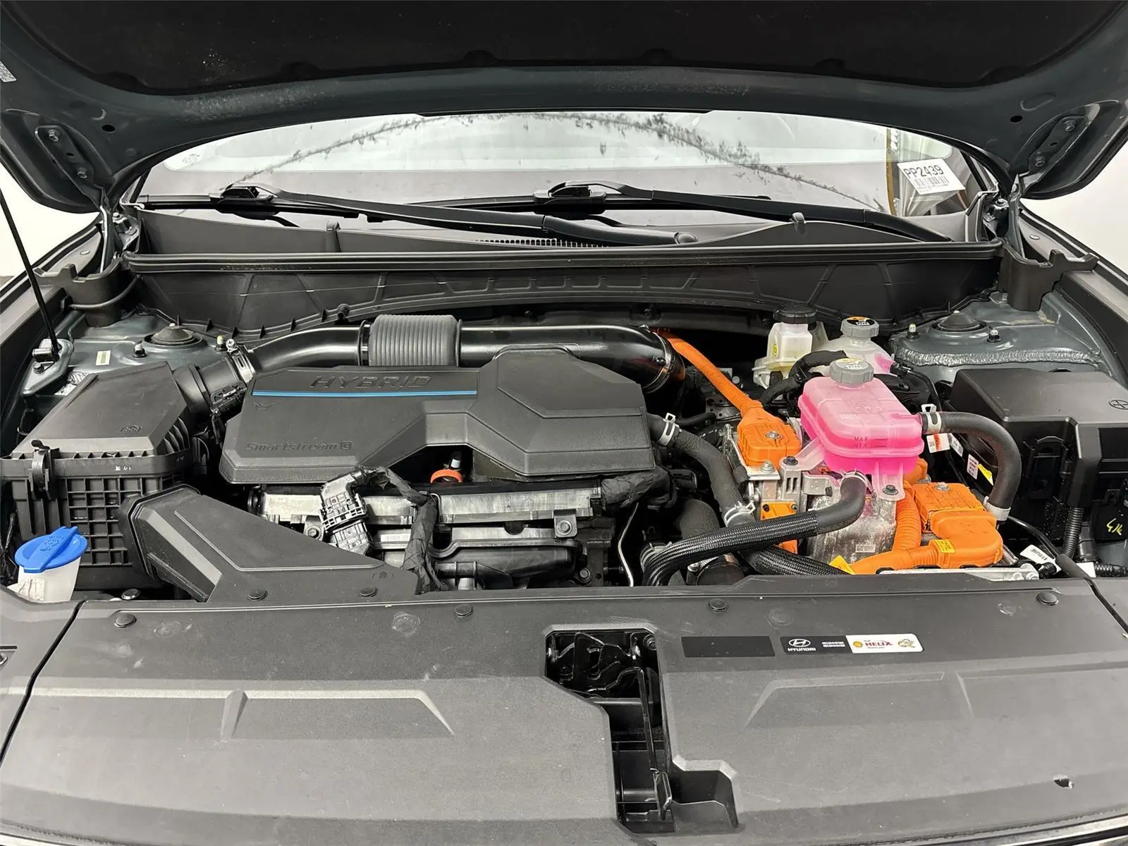 image-19