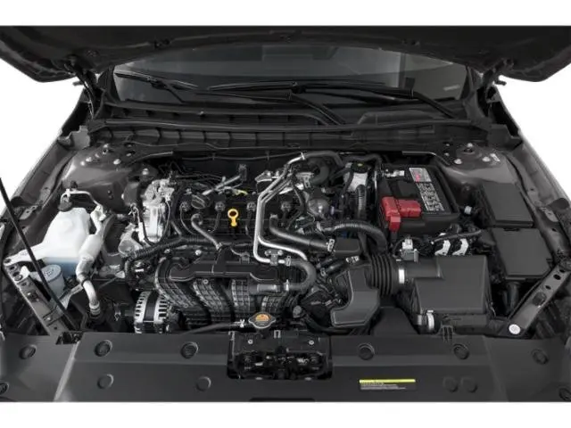 image-13