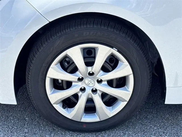 image-19