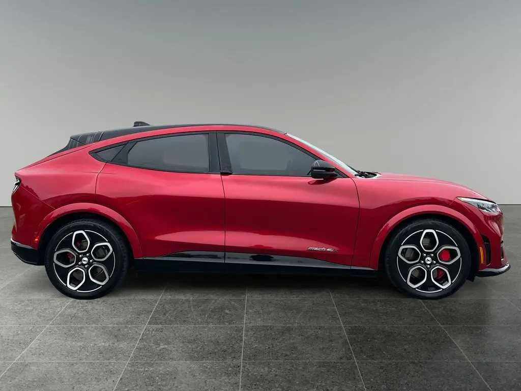 2022 Ford Mustang Mach-E GT photo 8