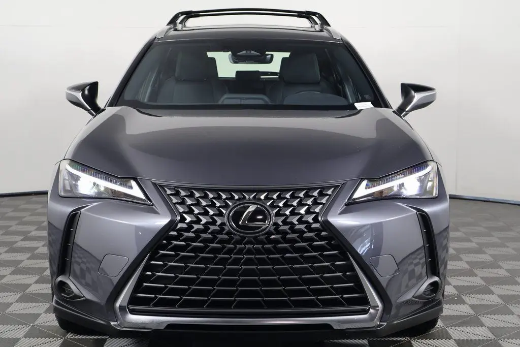 2025 Lexus UX photo 2