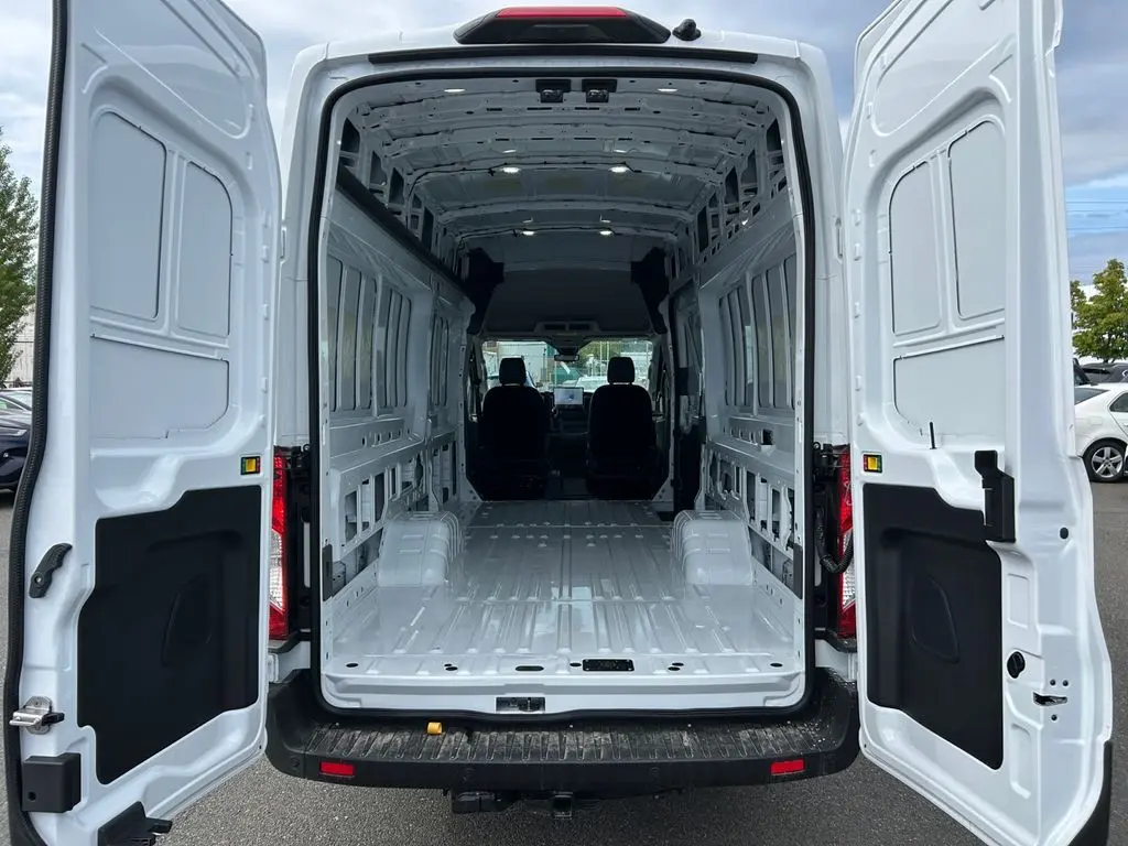 image-19