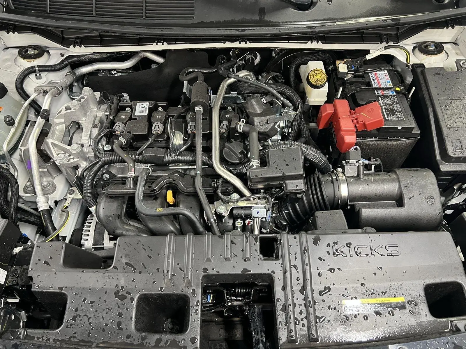 image-7