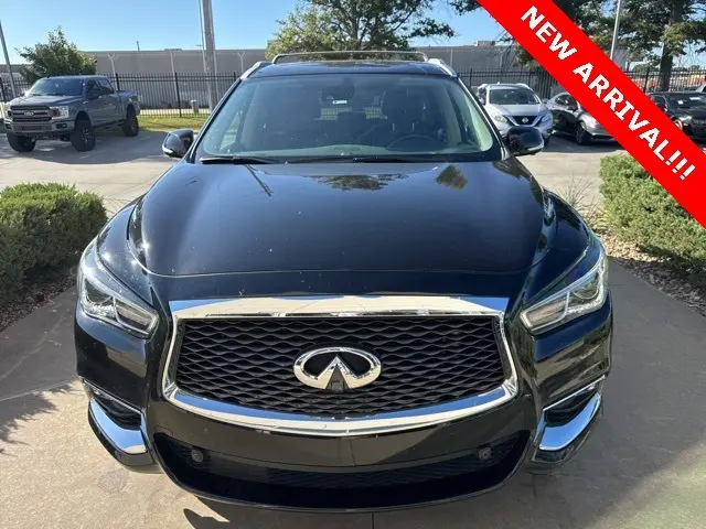 2019 Infiniti QX60 Luxe photo 2