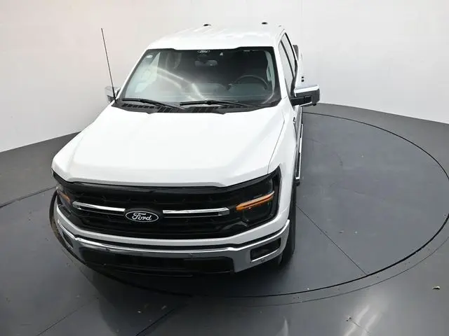 image-19