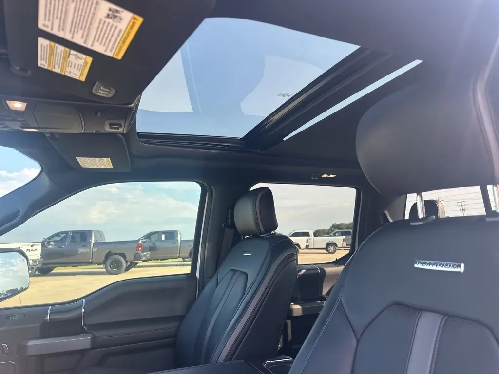 2020 Ford F-150 Platinum photo 11