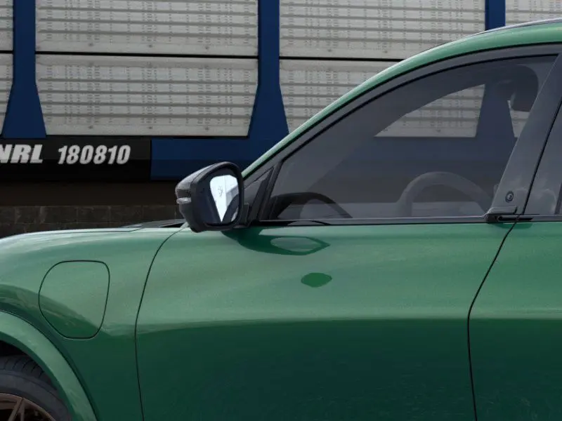 image-19