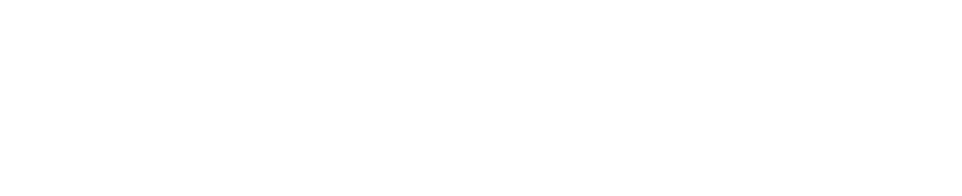 Dealer Logo Primary