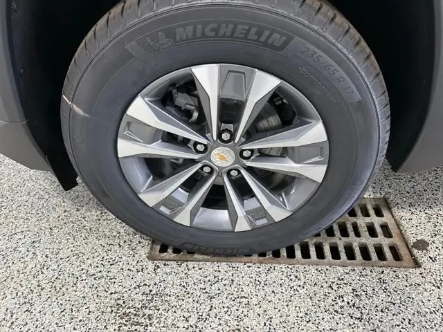 image-19