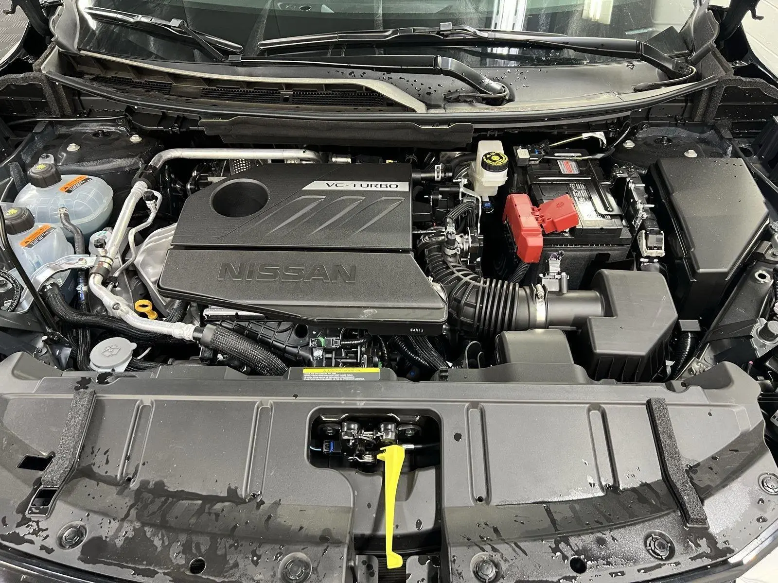 image-7