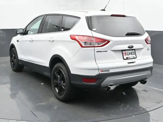 image-7