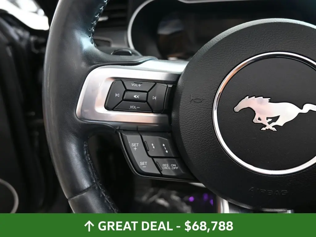 2019 Ford Mustang GT Premium Mach 1 photo 24