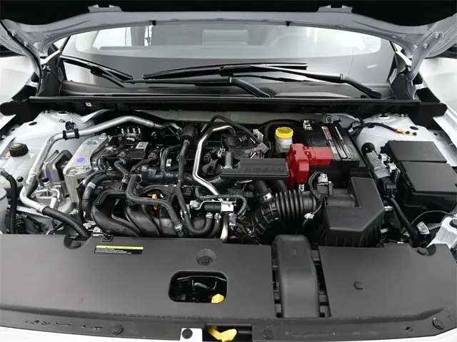 image-10