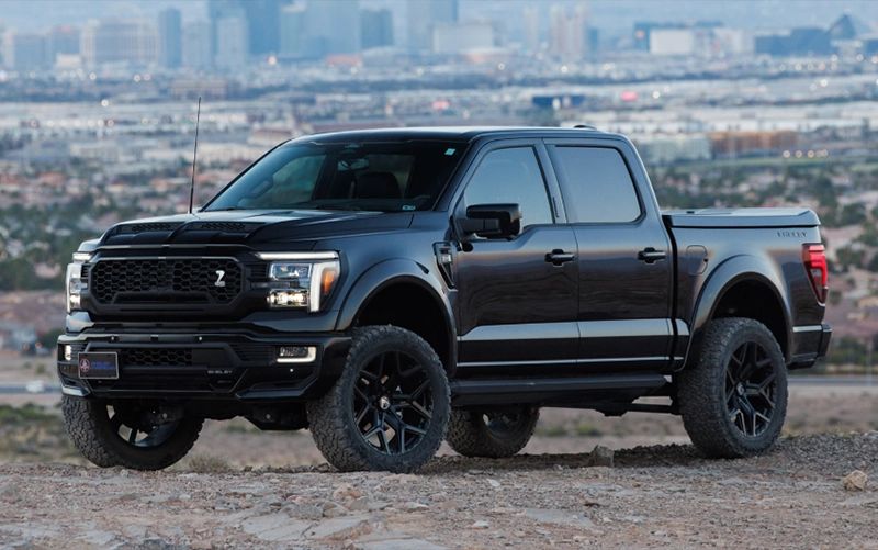 Shelby F-150 Exterior