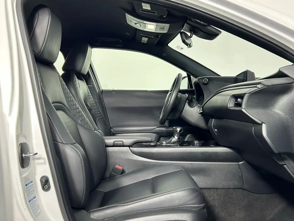 2021 Lexus UX 250h photo 10