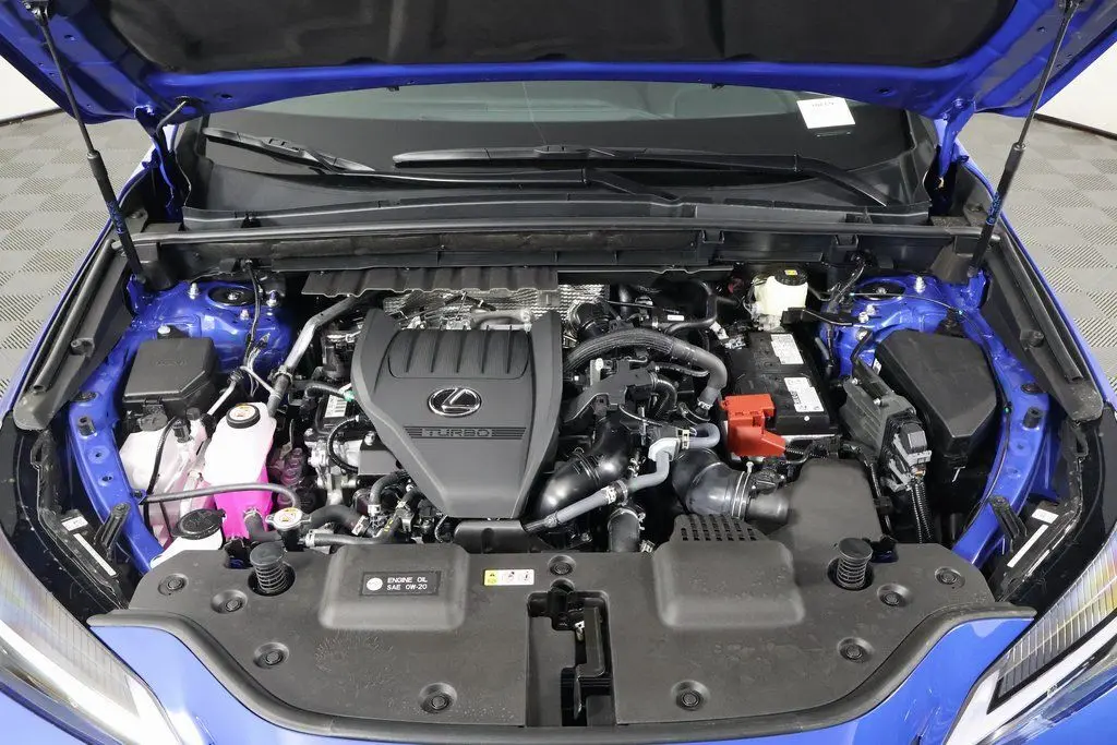 image-8