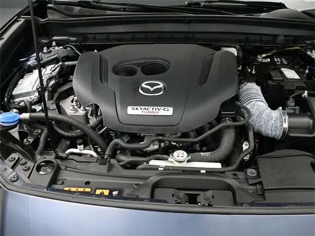 image-15