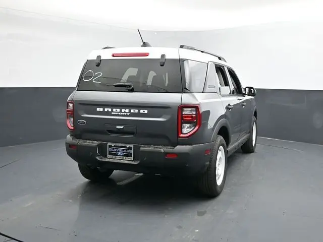 image-7