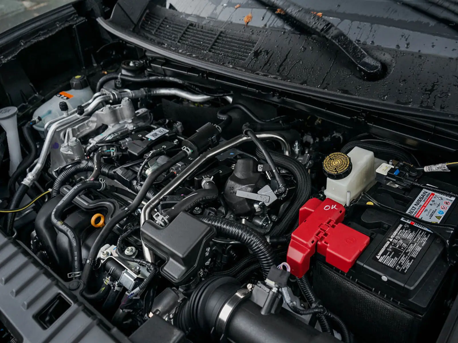 image-5