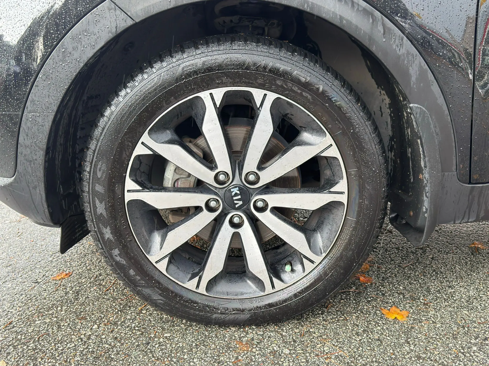 image-9