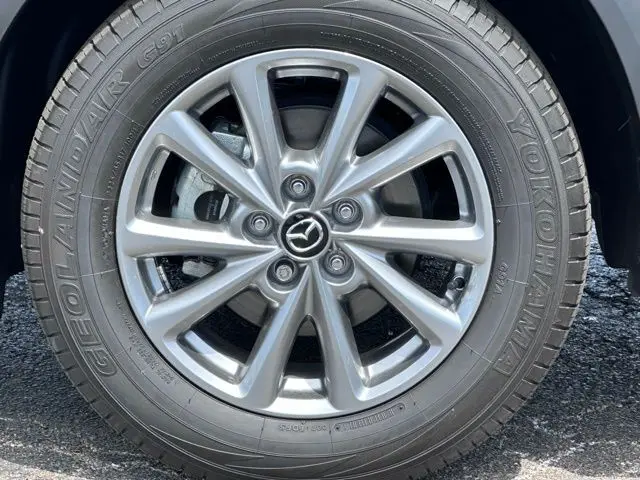 image-7