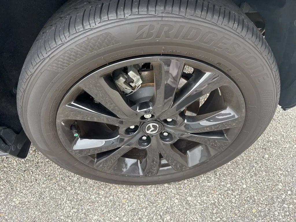 image-7