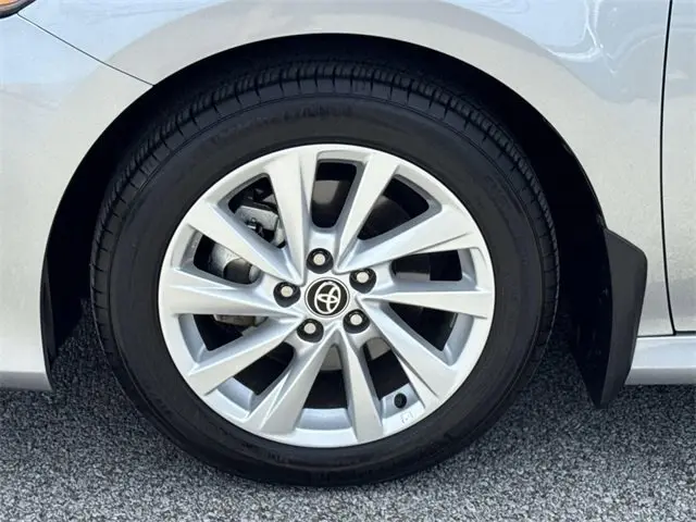 image-19