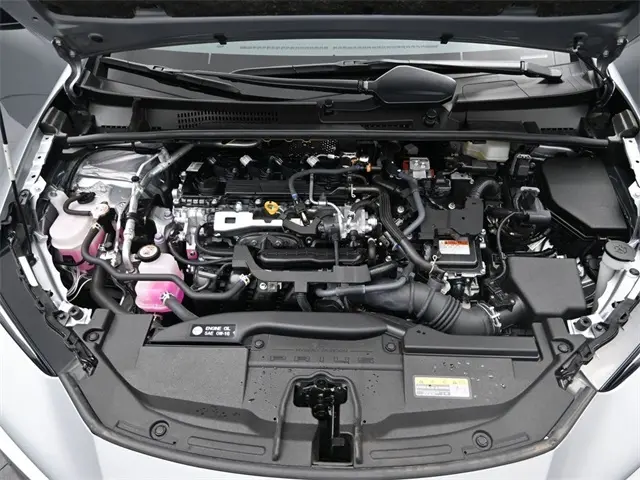 image-19