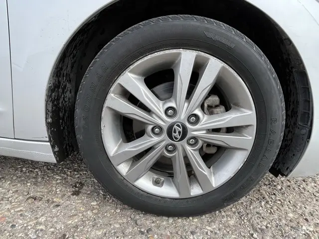 image-7